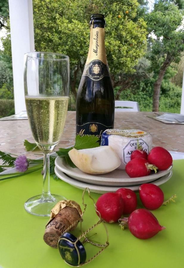 Quinta Villa Arrabida Vila Fresca Экстерьер фото